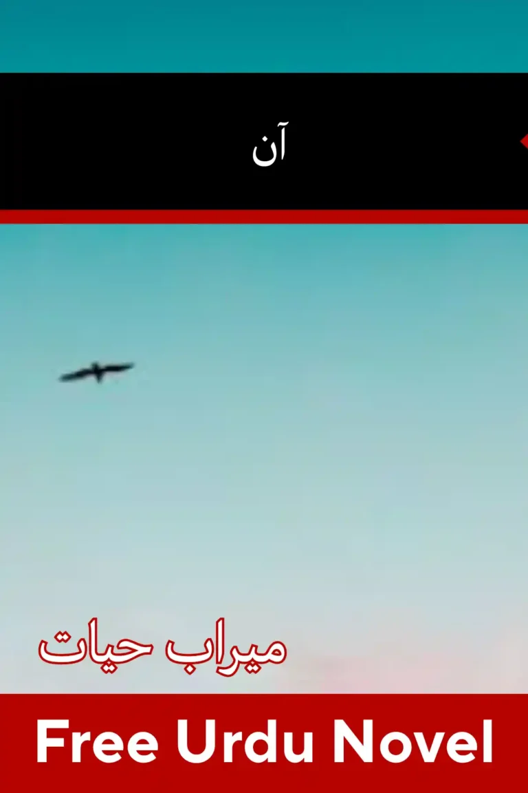 Aan Novel By Meerab Hayat