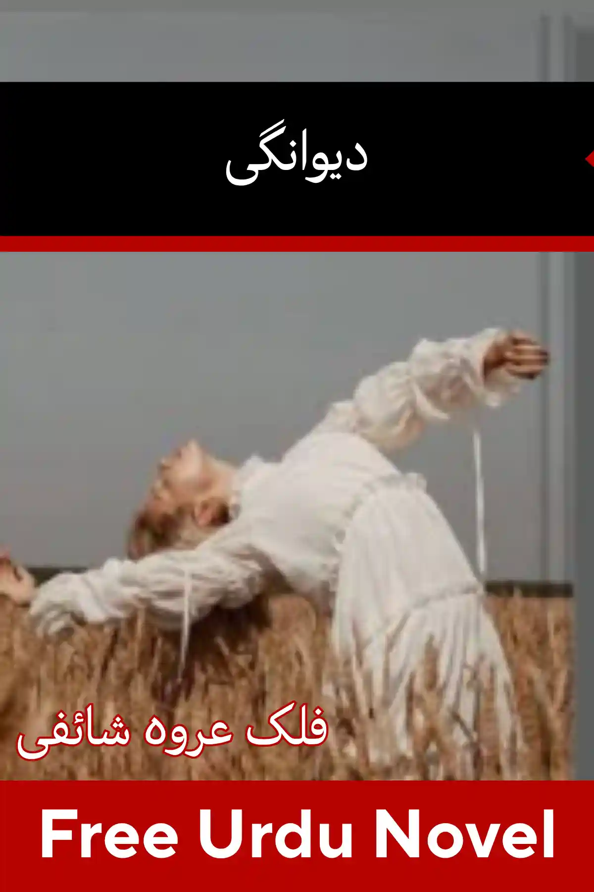 Deewanagi Novel By Falak Urwa Shaifi