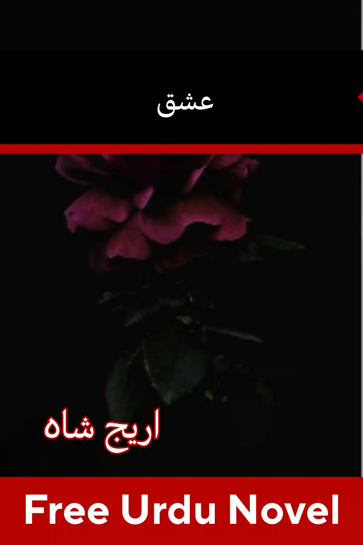 Ishq Novel By Areej Shah
