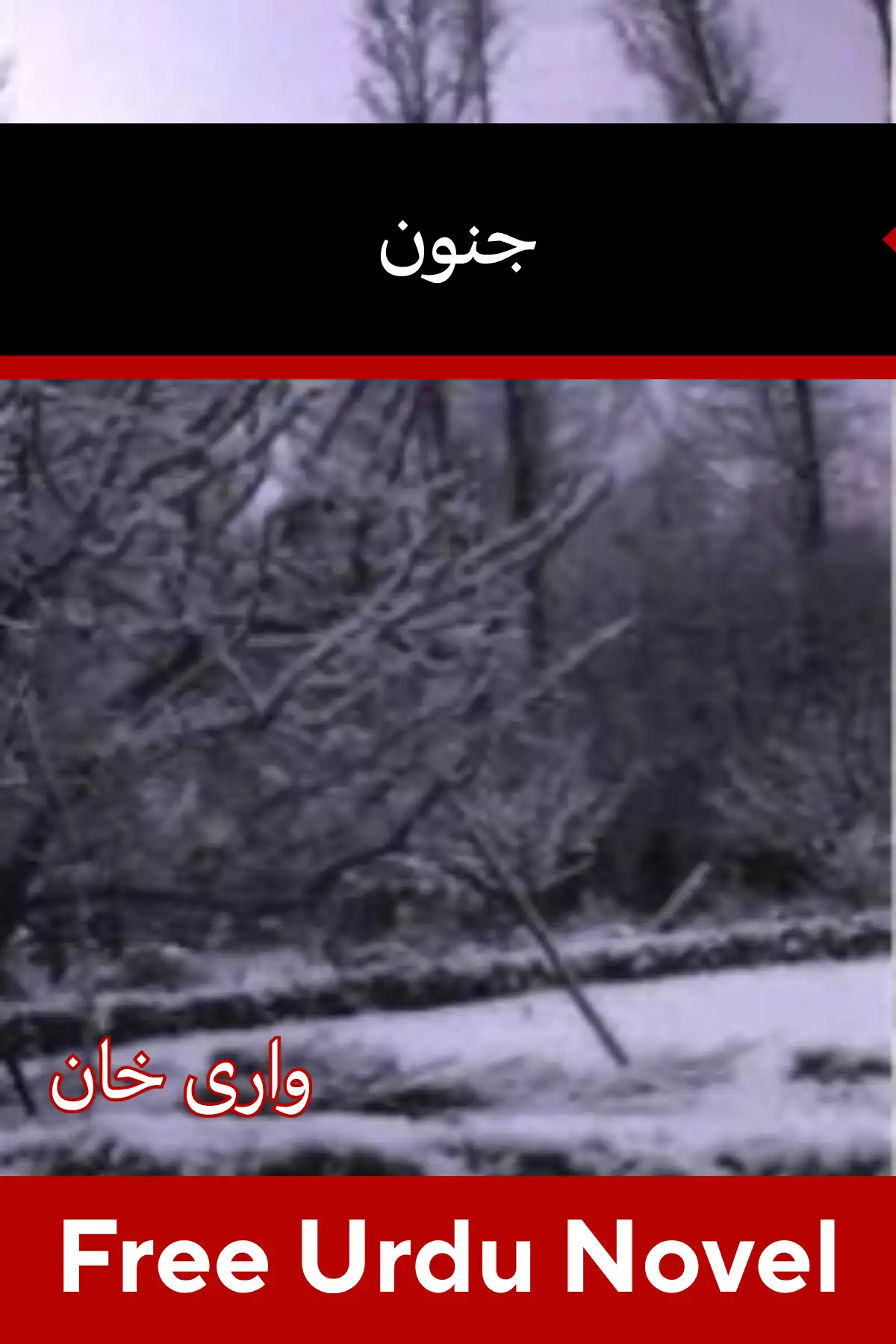 Junoon Novel By Warii Khan