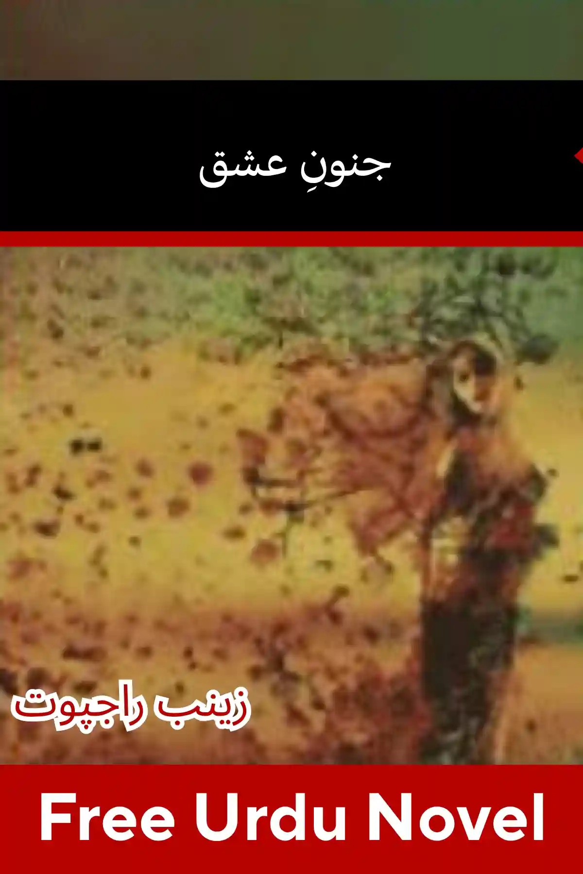 Junoon e Ishq Novel By Zainab Rajpoot