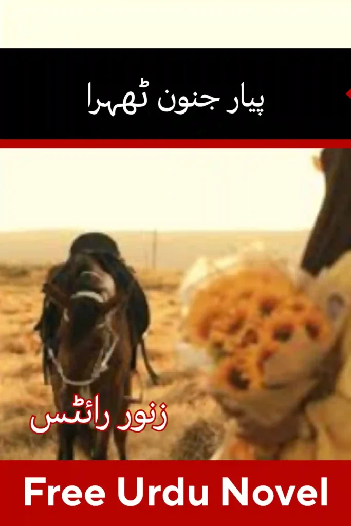 Pyaar Junoon Thehra Novel By Zanoor Writes