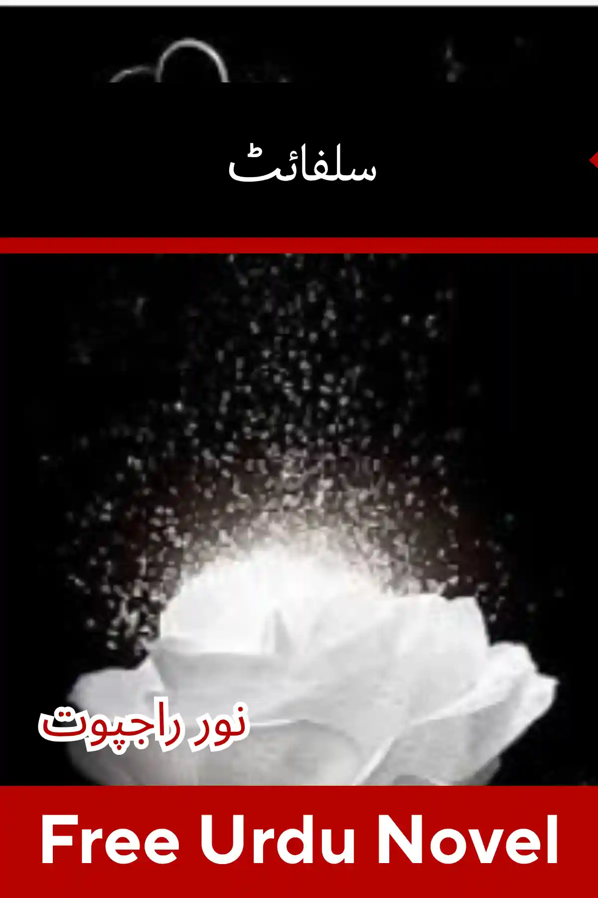 Sulphite Novel By Noor Rajpoot