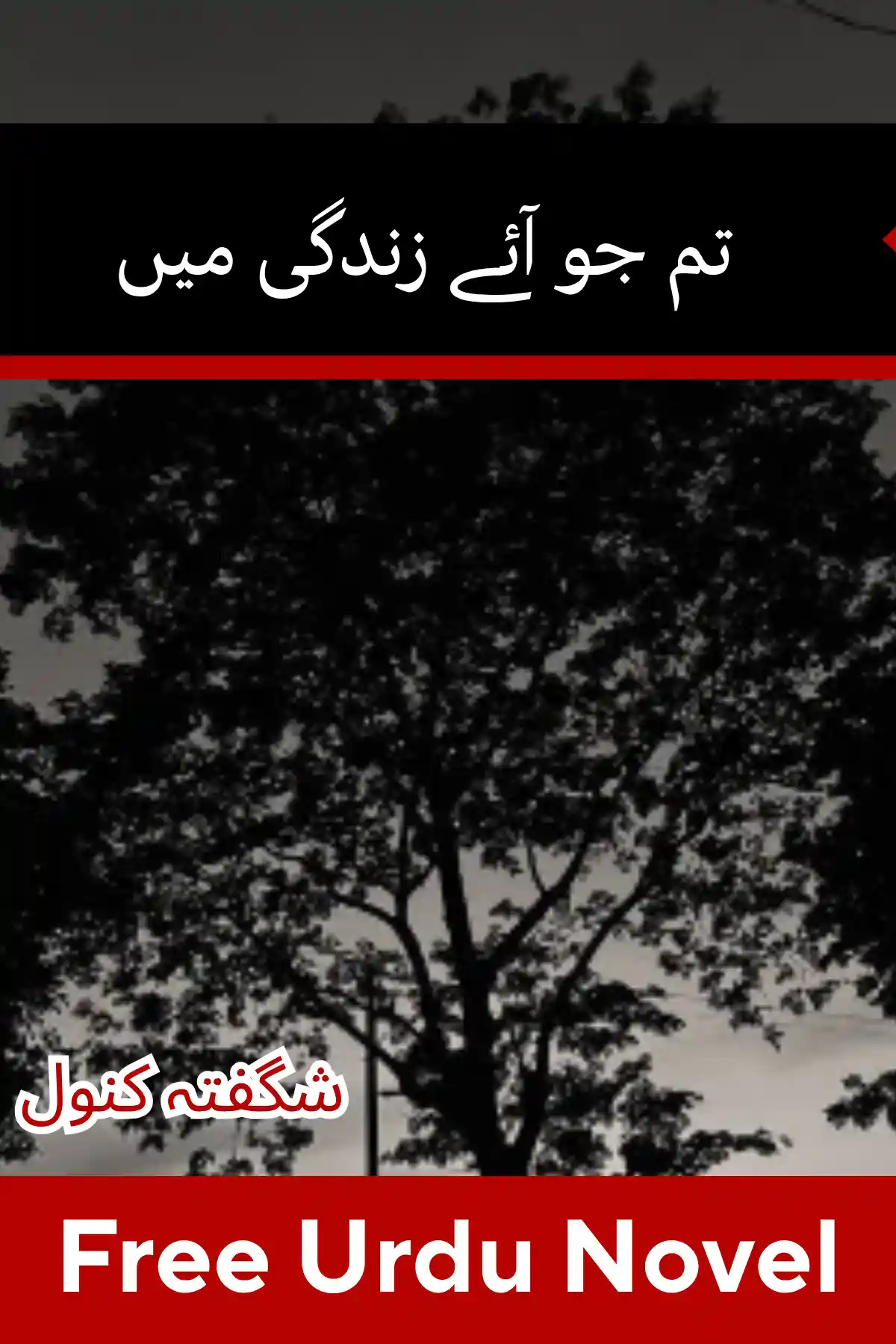 Tum Jo Aye Zindagi Main Novel By Shagufta Kanwal