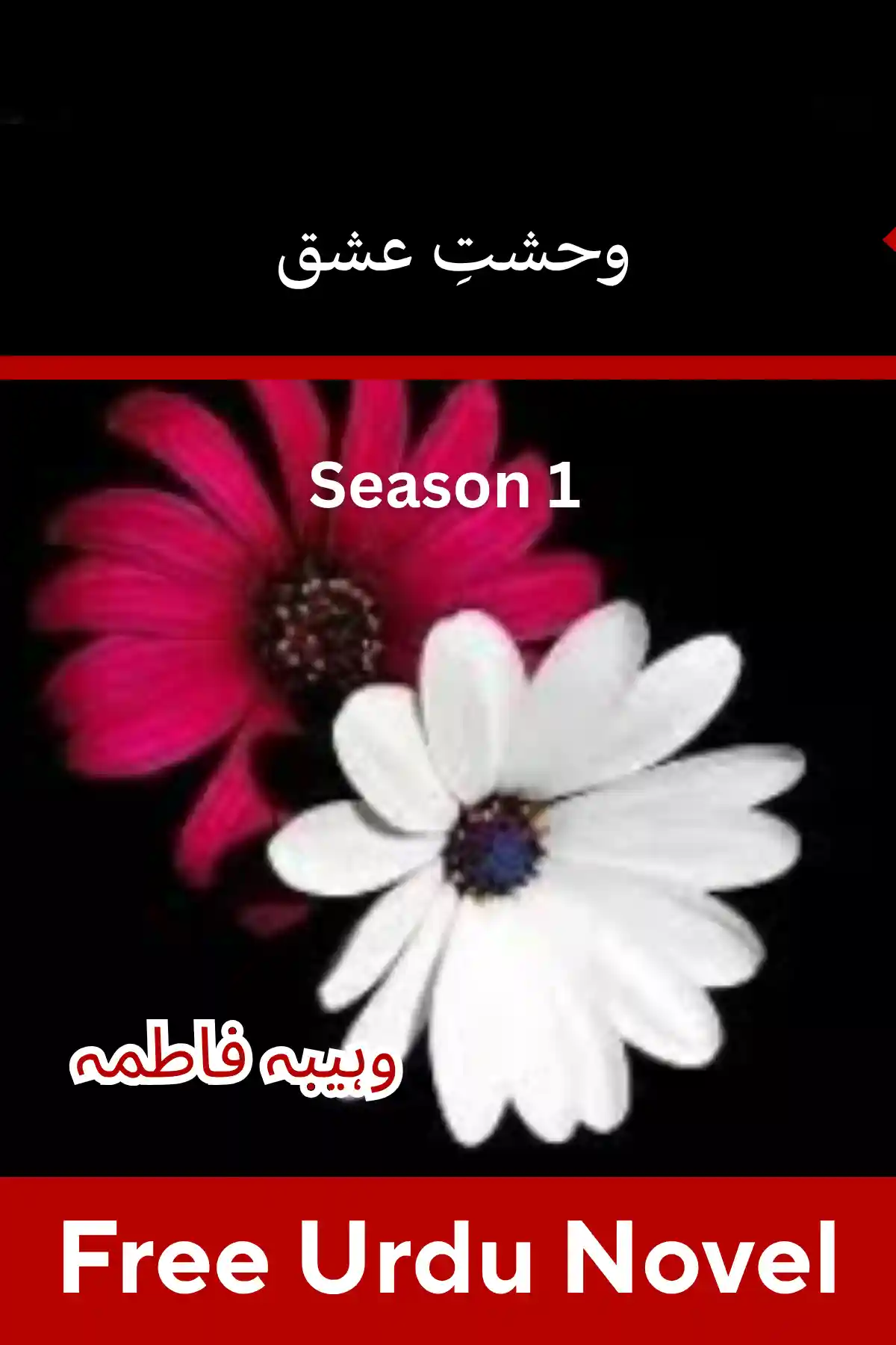 Wahshat E Ishq Novel Season 1 By Wahiba Fatima