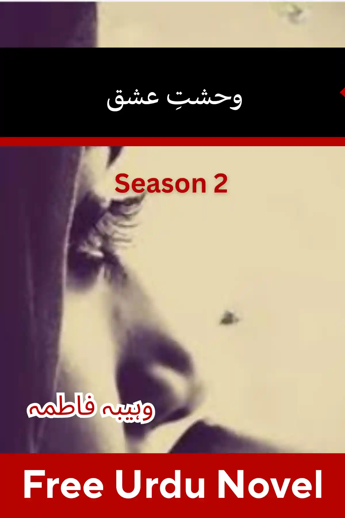 Wahshat E Ishq Novel Season 2 By Wahiba Fatima