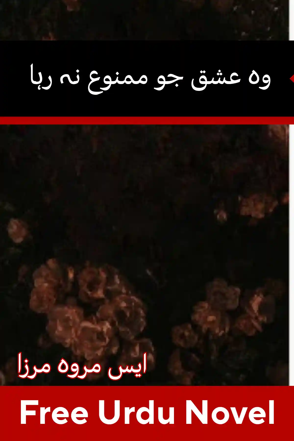 Woh Ishq Jo Mamnoo Na Raha Novel By S Merwa Mirza