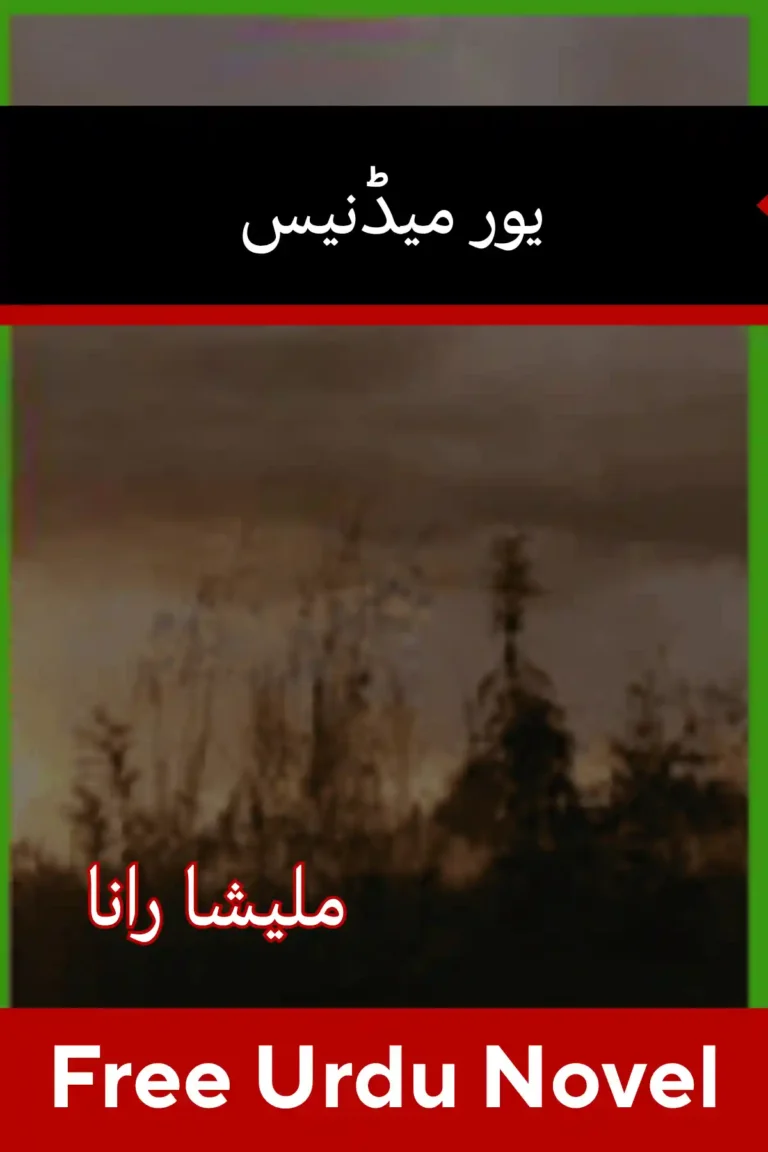 Your Madness Novel By Malisha Rana