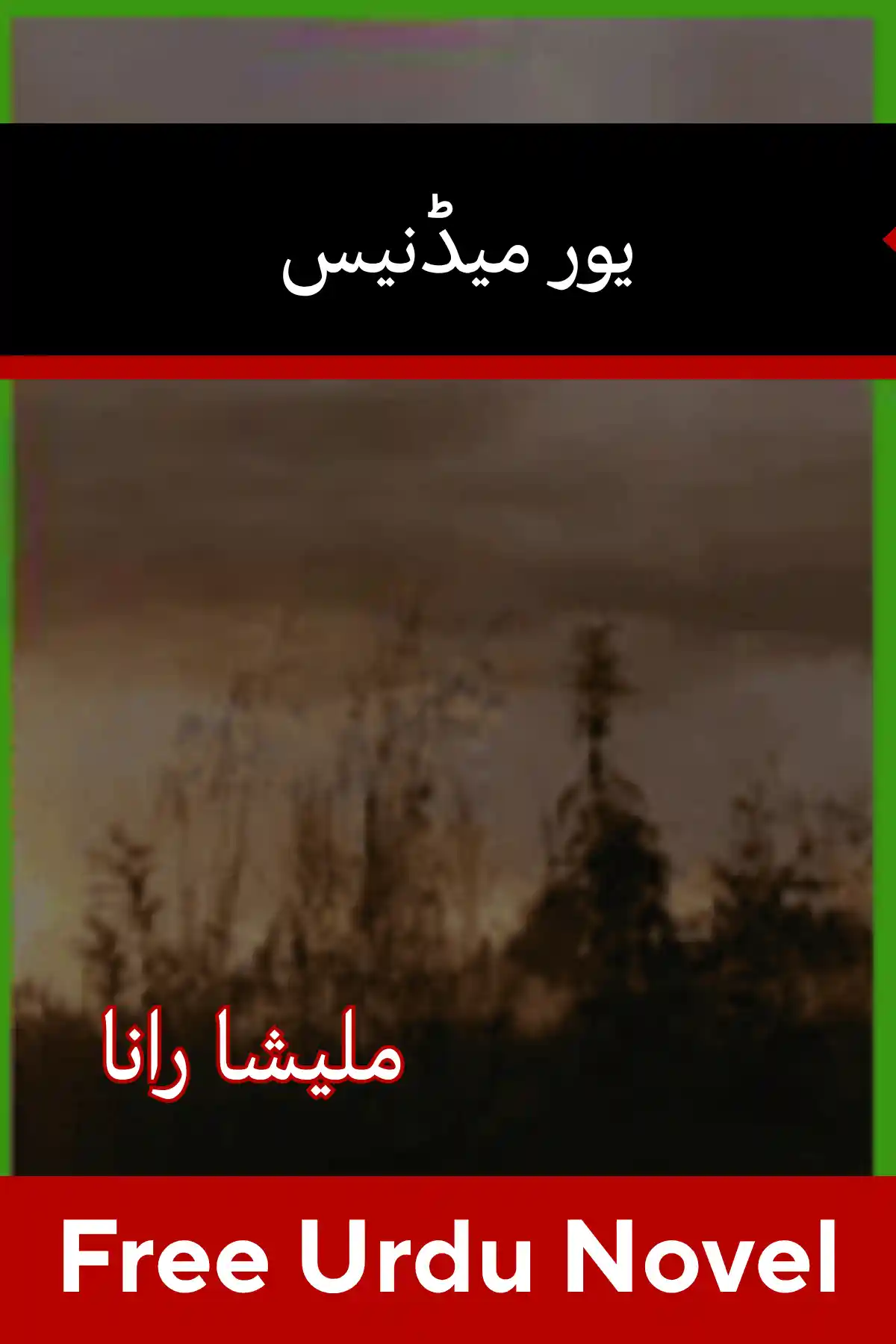Your Madness Novel By Malisha Rana