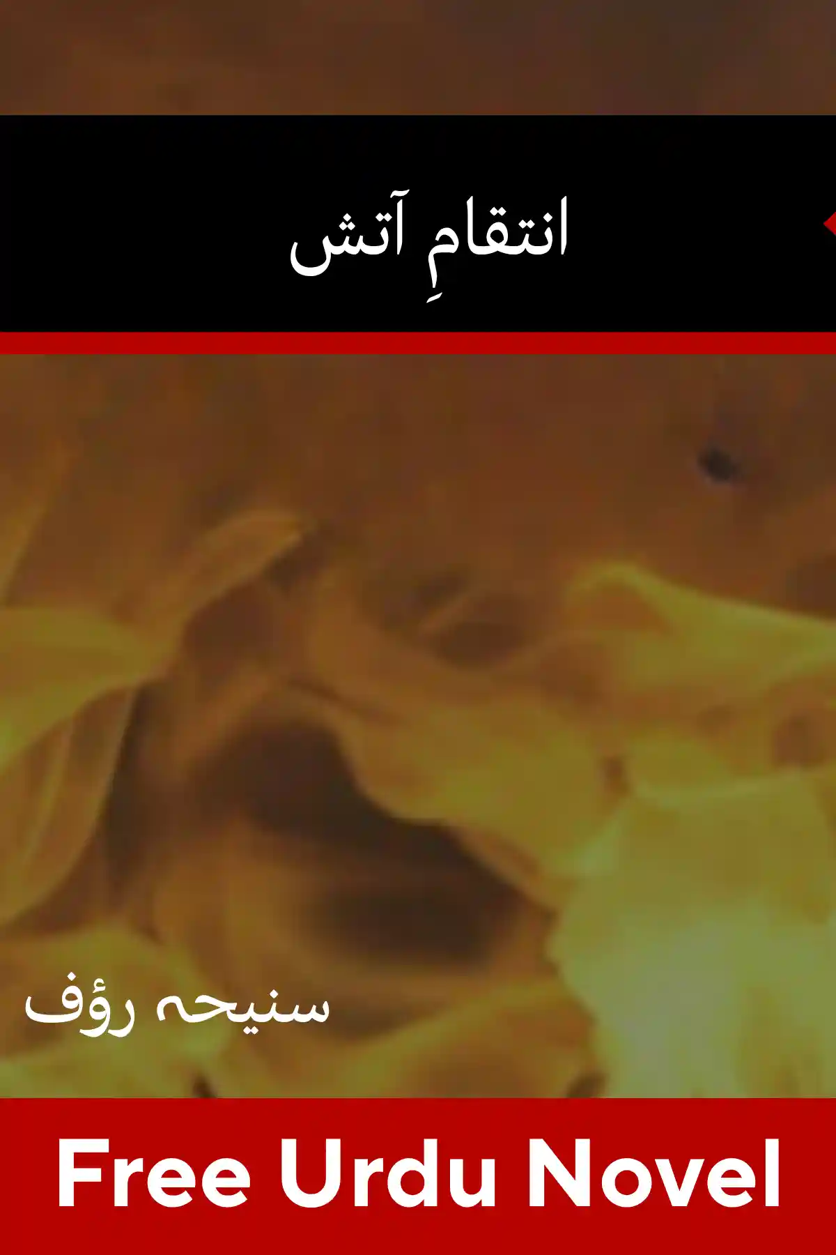 Inteqam e Aatish Novel By Suneha Rauf