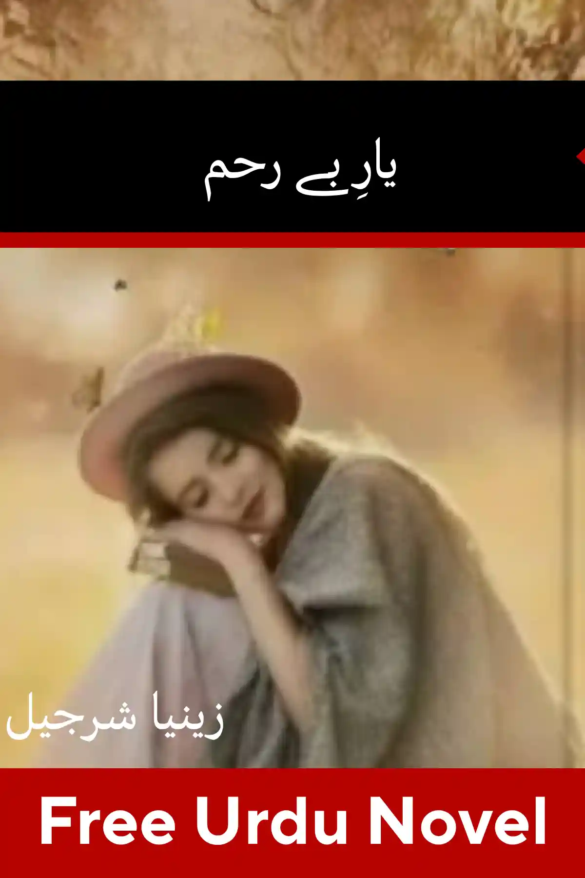 Yaar Beraham Novel By Zeenia Sharjeel